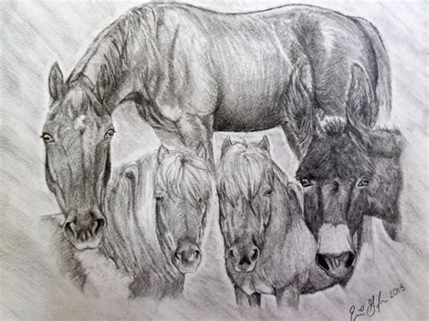 See all auctions of this seller add to watch list remove the auction from watched ask a public question contact the seller. On a Whim, I bid on a Pencil Drawing Silent Auction Item ...