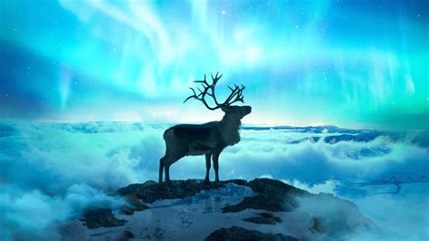 Reindeer Fantasy Art Hd Artist 4k Wallpapers Images Backgrounds