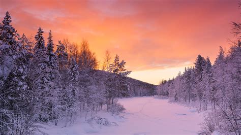 Winter In Finland Talvi Suomessa Lapland Winter Wallpaper