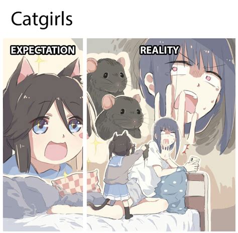 Catirls Lyytoaoitoris Catgirl Images Know Your Meme