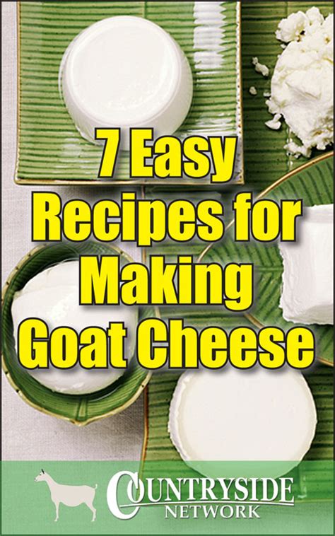 7 Easy Recipes For Making Goat Cheese Backyard Goats Making Goat