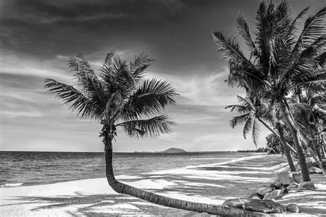 Black And White Image Of Tropical Beach By Sasintipchai Go4fotos