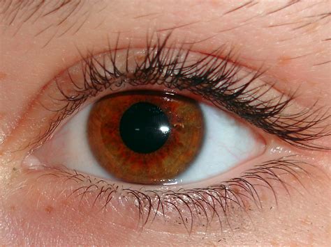 I like your eyes (deep disco mix). Why Optometrists Dilate Your Eyes