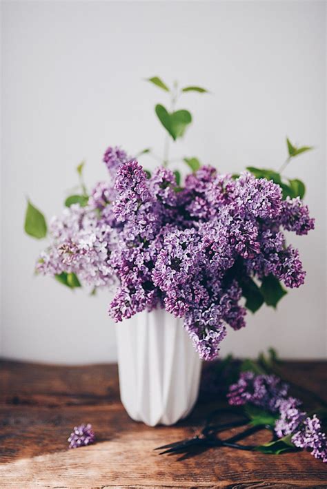 How To Arrange An Overflowing Bouquet Of Lilacs Keep Them From Wilting