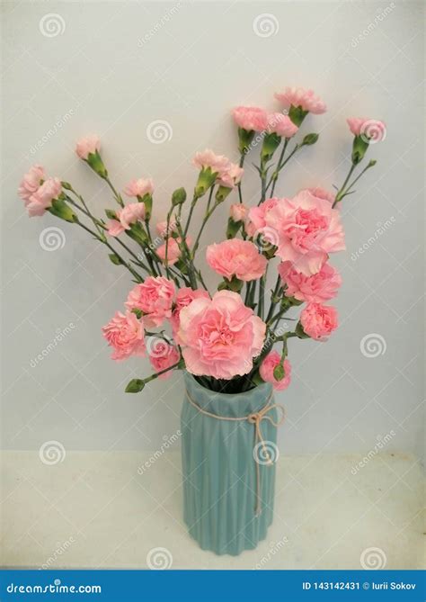Bouquet Of Pink Carnations In A Vase Stock Image Image Of Plant