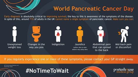 World Pancreatic Cancer Day No Time To Wait Porterhouse Medical