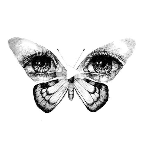Wings Butterfly Eyes Drawing Illustration Bw Butterfly Eyes