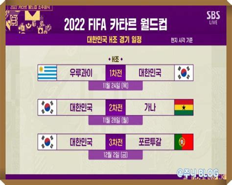 2022 카타르 월드컵 한국 조편성 일정 주목24일 우르과이와 첫 경기 네이트 스포츠