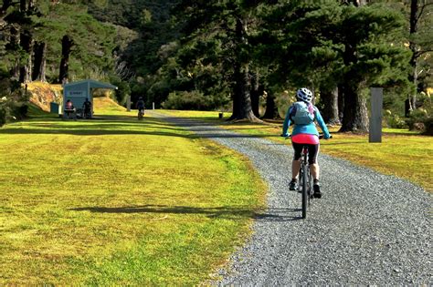 Remutaka Cycle Trail Tours 4 And 5 Day — Cycle Remutaka