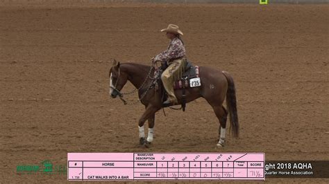 A Judges Perspective 2018 Aqha Select Working Cow Horse World