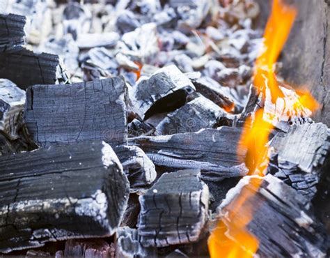 A Lot Of Charred Charcoal Ash The Tree Just Burned Down Stock Photo