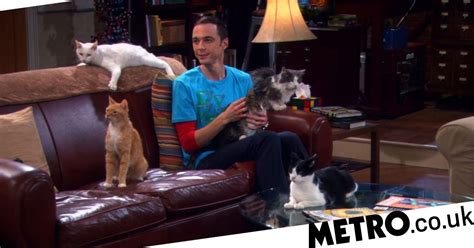 The Big Bang Theory Sheldons Hypocrisy Exposed In Asthma Plot Hole Metro News