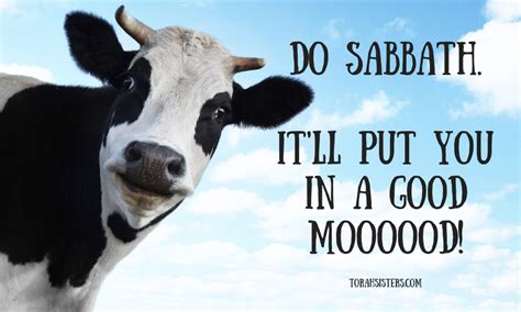 Sabbath Memes Torah Sisters