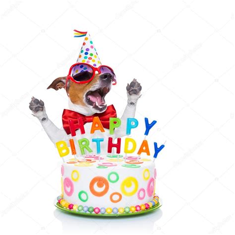 Happy Birthday Dog Singing — Stock Photo © Damedeeso 72784407
