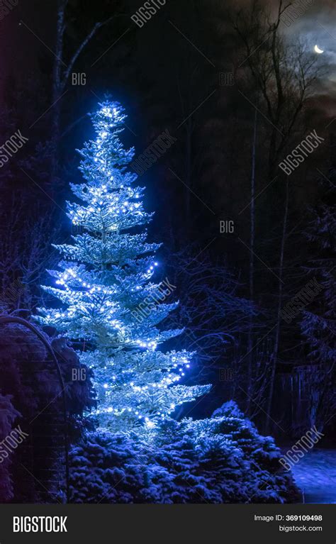 Snow Covered Christmas Image And Photo Free Trial Bigstock