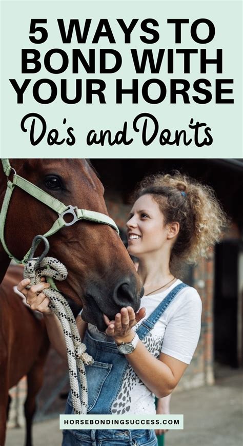 5 Ways To Bond With Your Horse Bonding Dos And Donts Horse