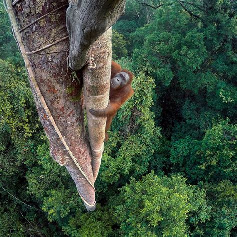 10 Images From Wildlife Photographer Of The Year Portfolio 26