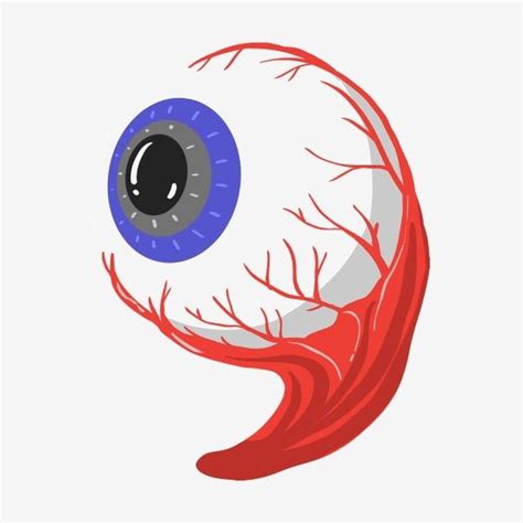Google has many special features to help you find exactly what you're looking for. Gambar Organ Manusia Mata Saluran Darah Merah Mata Biru Mata Hitam, Clipart Bola Mata, Bola Mata ...