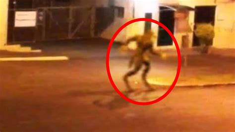 5 Mythical Creatures Caught On Camera And Spotted In Real Life Youtube