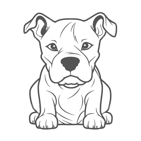 Tiny Pit Bull Breed Dog Drawing Outline Sketch Vector Pitbull Drawing