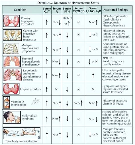 Letsrefresh Differential Diagnosis Of Hypercalcemic States