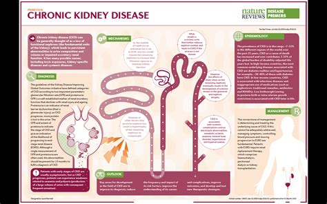 Chronic Kidney Disease A New Nature Reviews Disease Primer By