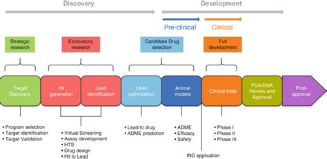 Drug Development Process Overview