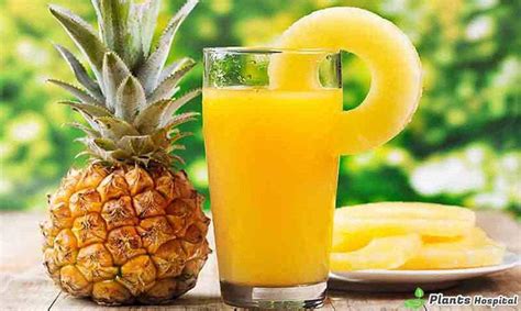 15 Benefits Of Pineapple Heart Health Digestive System Skin And More