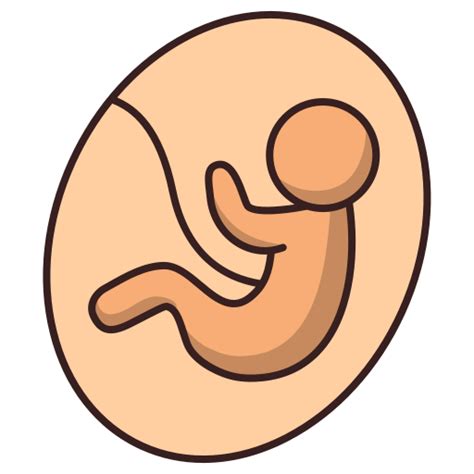 Fetus Generic Outline Color Icon