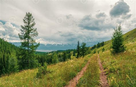 Green Mountains Landscape With Old Dirt Road Overgrown With Grasses And