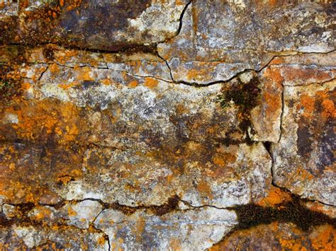 Rust Stone Wall Stock Photo Image Of House Fence Exterior 19082532