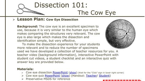 Dissection 101 Cow Eye Dissection Lesson Plan Pbs Learningmedia