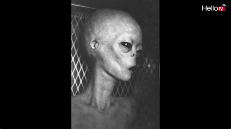 Real Footage Of Captured Alien Grey Youtube