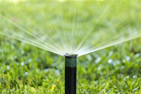 Sprinkler System Maintenance Cost Elisa Parsons Kabar
