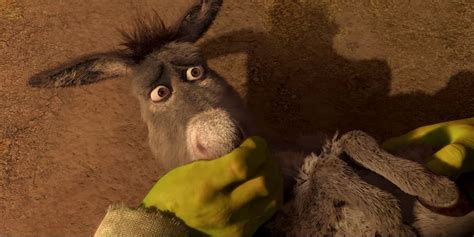 Shrek Donkeys 20 Most Hilarious Quotes Escuela Secundaria Kien Thuy