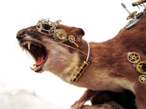 10 Rogue Taxidermy Artists Who Create Imaginative Sculptures Scene360