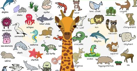 Animal Names Types Of Animals List Of Animals 7esl