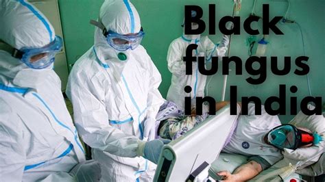 What Is The Black Fungus Infecting Covid 19 Patients Youtube
