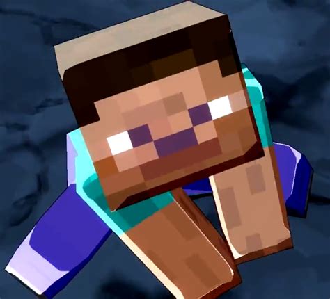 Minecraft Steve Photo