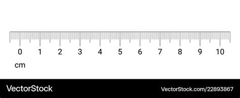 Ruler Cm Measurement Numbers Scale Royalty Free Vector Image