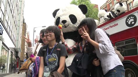 Panda Monium Takes Over London Youtube