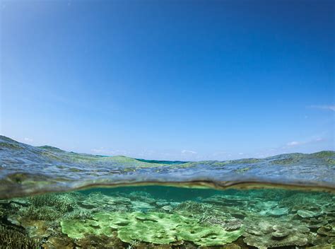 Hd Wallpaper Half Underwater Shot Travel Islands Earth Ocean Blue