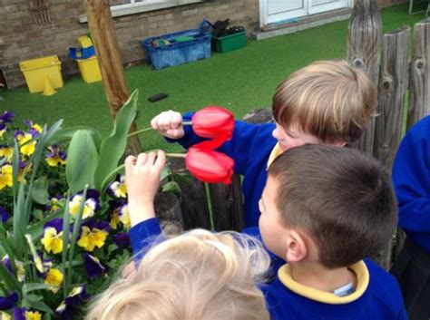 What Signs Of Spring Can You See St Marks C Of E Primary School