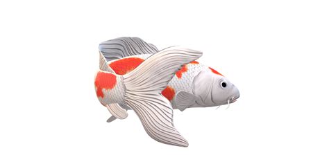 Koi Carp Fish Isolated On A Transparent Background 27765064 Png