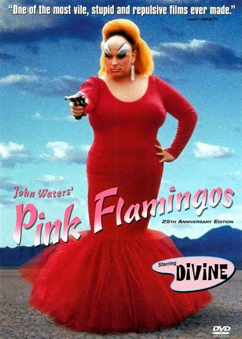 Pin En Pink Flamingos