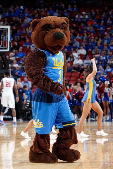 When the ucla bruins have a game, your kiddo gets decked out in team gear from head to toe. UCLA mascot gets raunchy to distract free throw shooter - NY Daily News