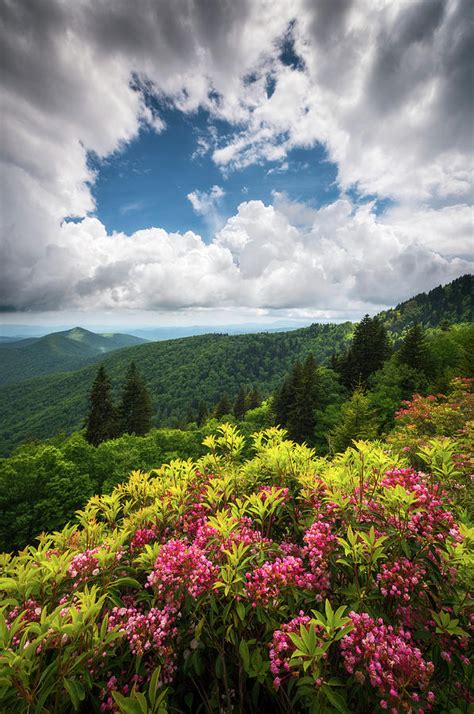 North Carolina Appalachian Mountains Spring Flowers Scenic Landscape