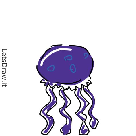 How To Draw Jellyfish J Br Ot Png Letsdrawit