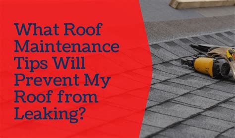 What Roof Maintenance Tips Will Prevent My Roof From Leaking Camden