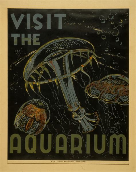 Visit The Aquarium Free Stock Photo - Public Domain Pictures